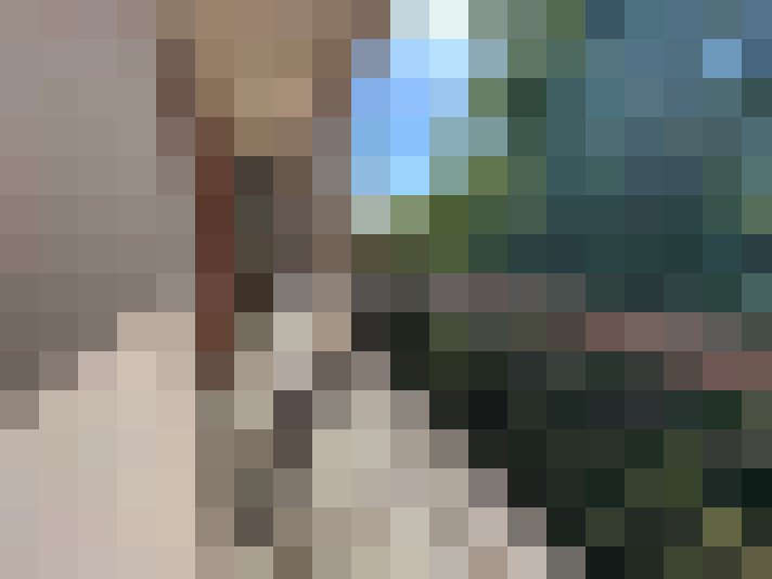  / #7