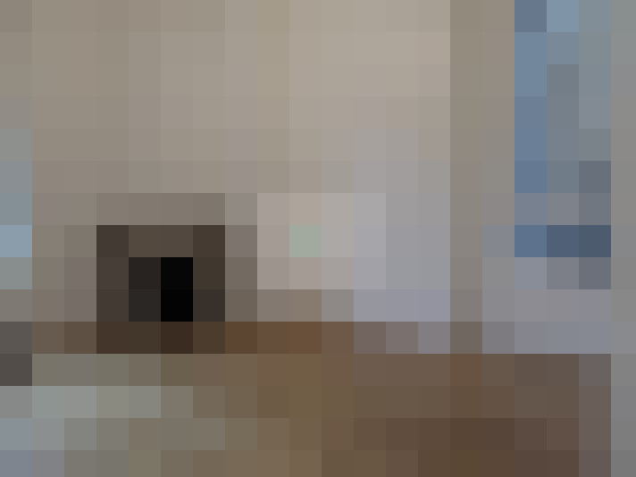  / #14