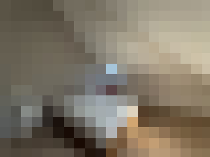  / #15