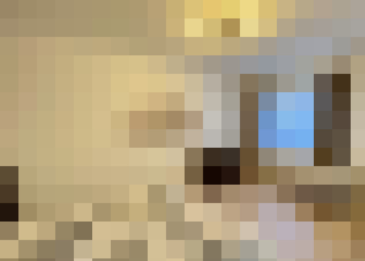  / #6