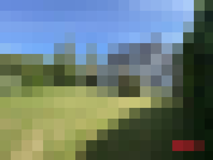  / #14