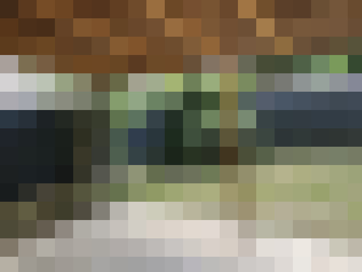  / #24
