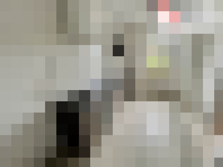  / #17