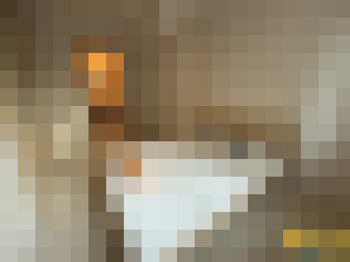  / #15