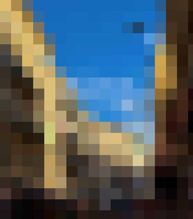  / #21