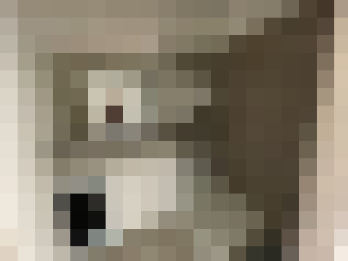  / #5