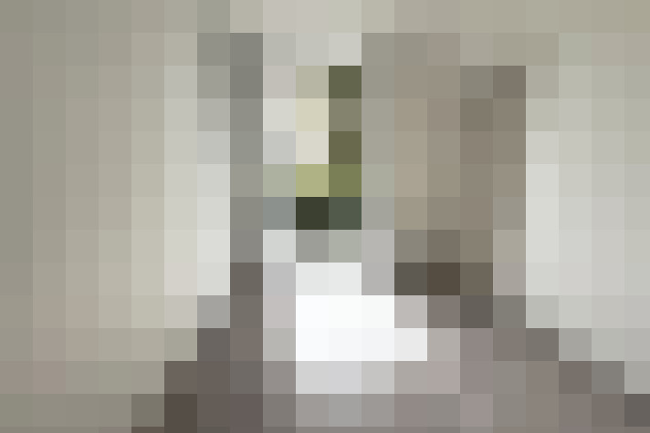  / #15