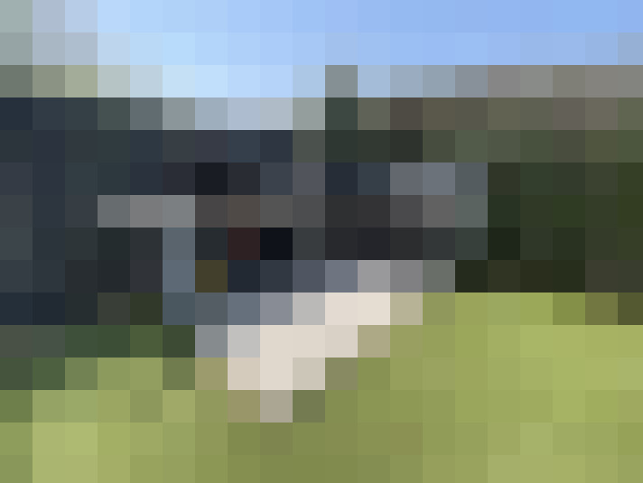  / #15