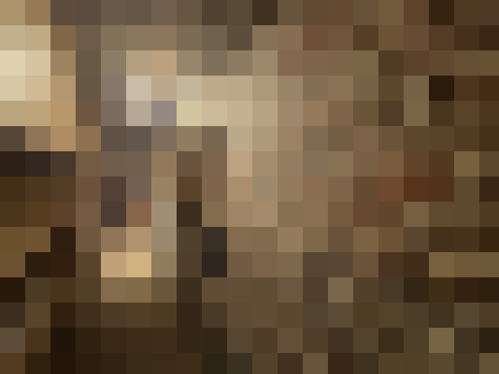  / #14