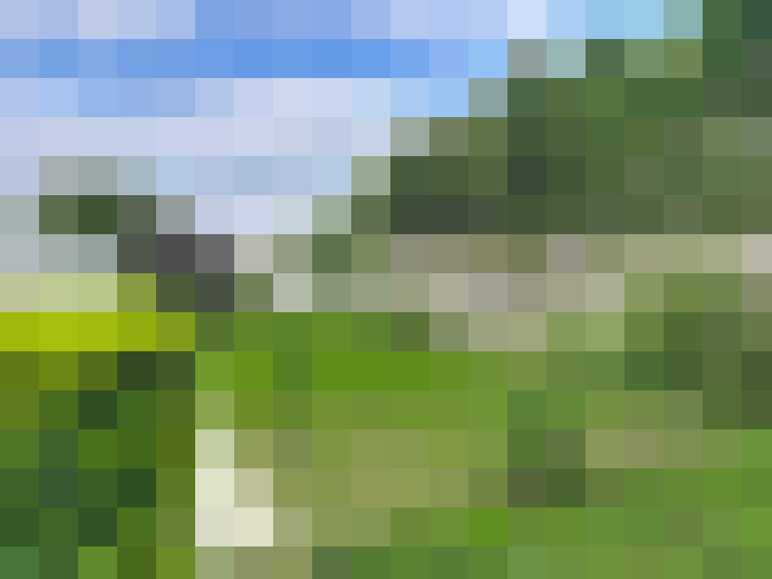  / #12
