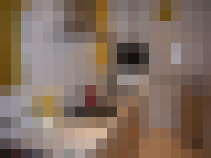  / #13