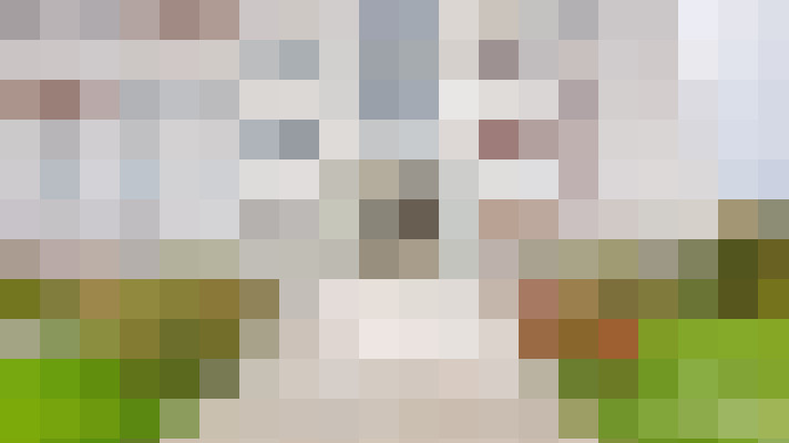 / #15