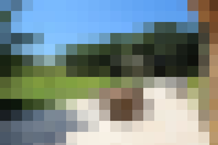  / #8