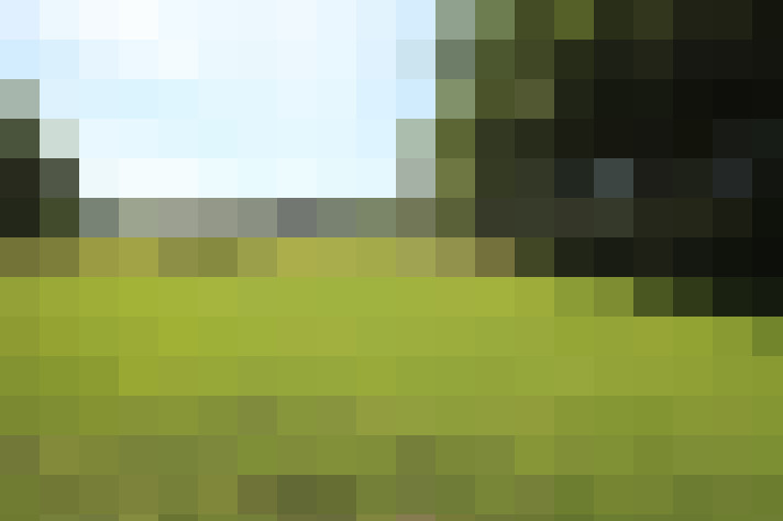 / #16