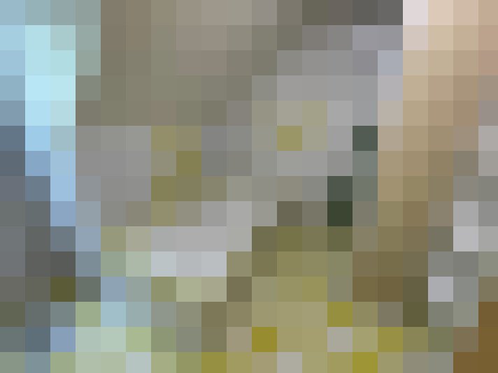  / #15
