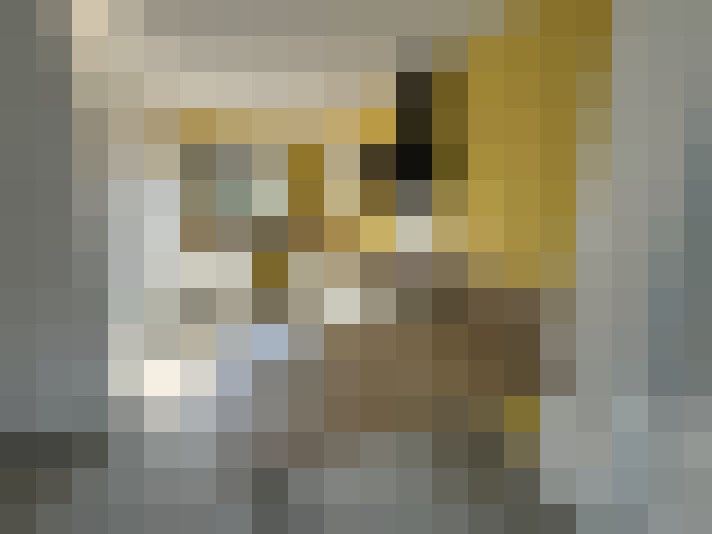  / #7