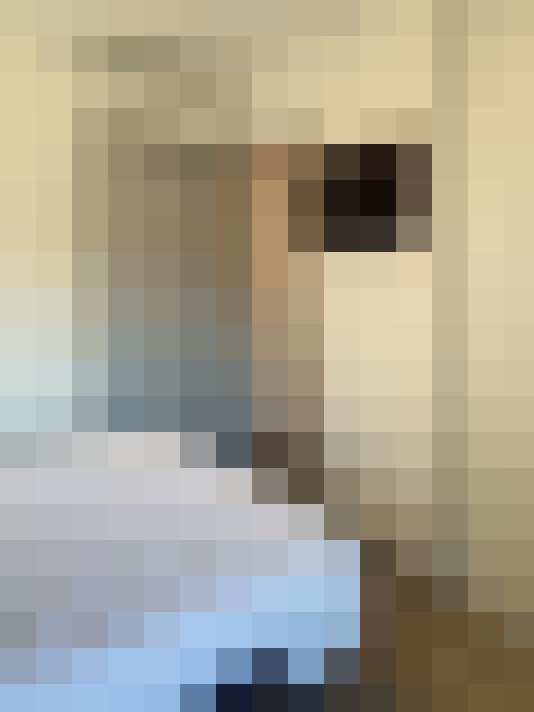  / #8