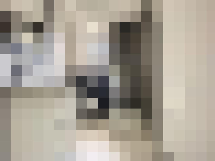  / #24