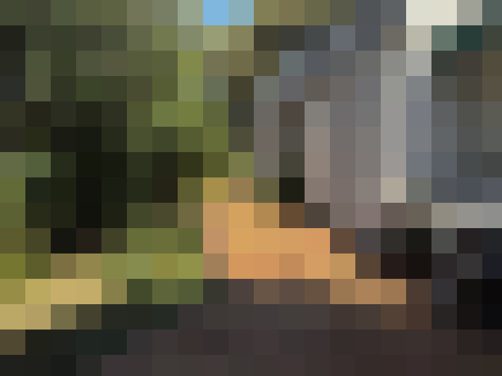  / #7