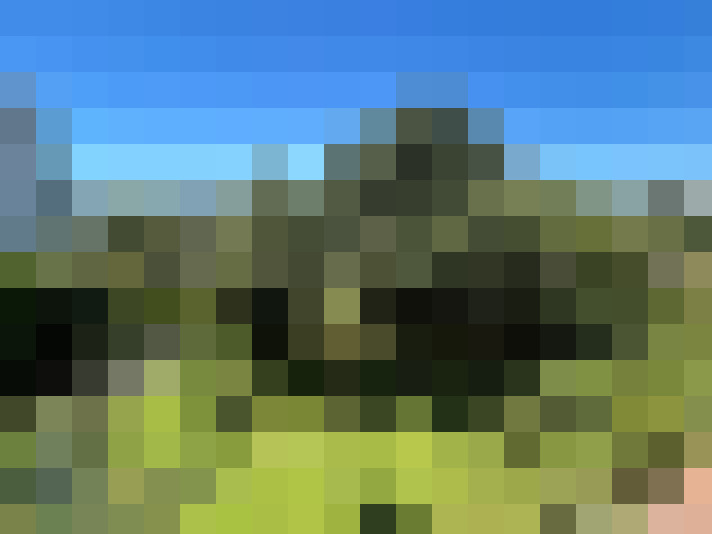  / #14