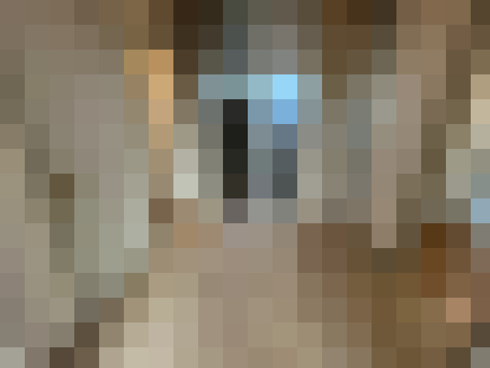  / #7