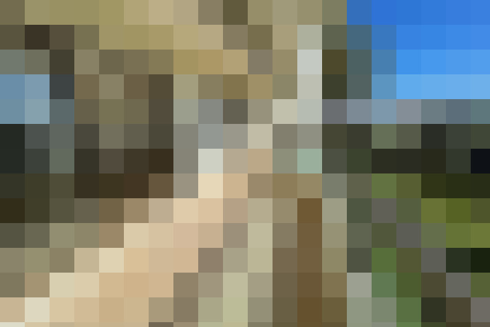  / #7