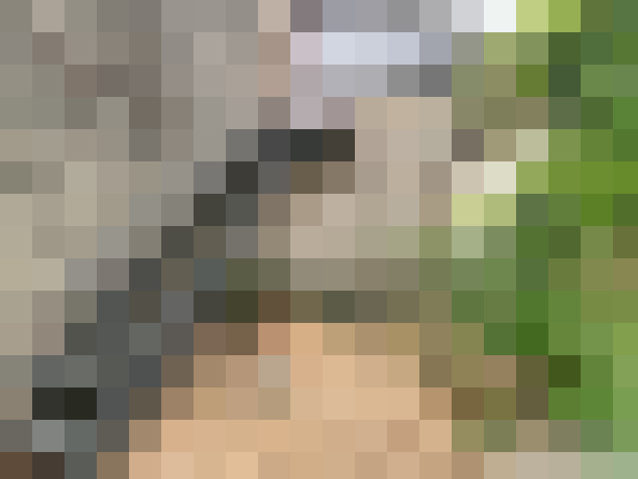  / #18