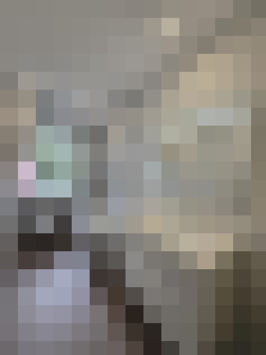  / #24
