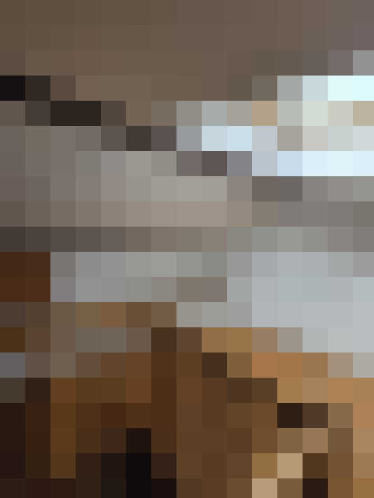  / #21