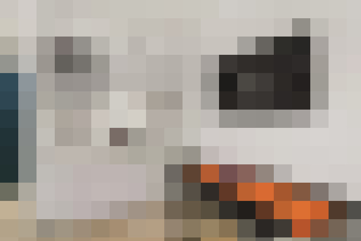  / #8