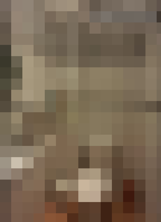  / #11