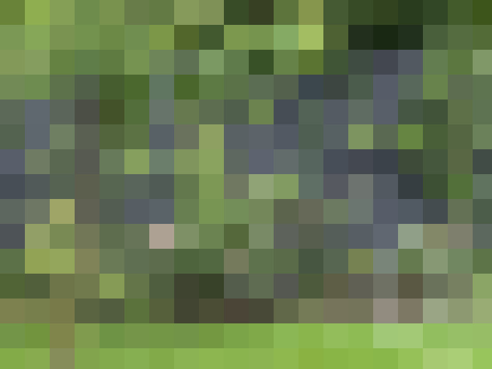  / #18