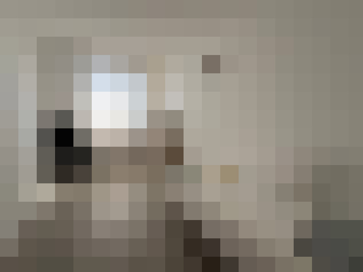  / #16