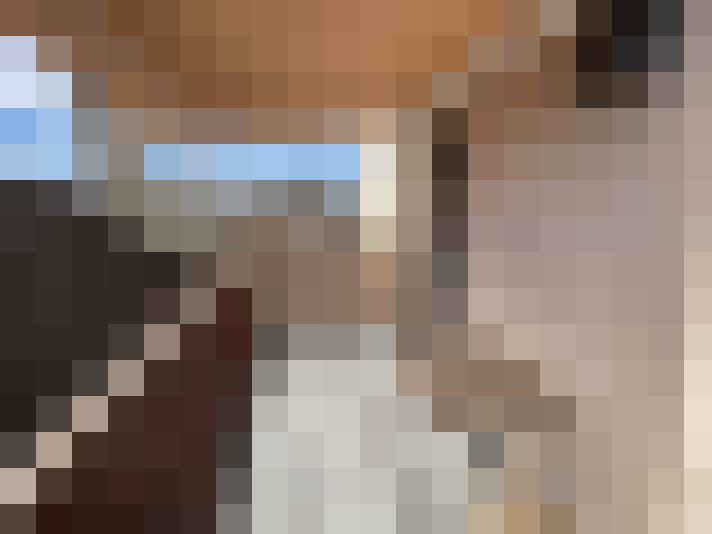  / #8