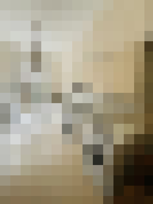  / #14