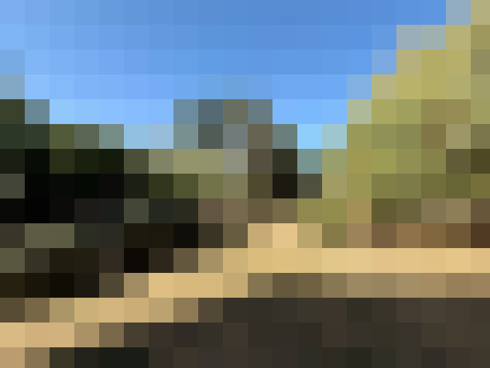  / #11