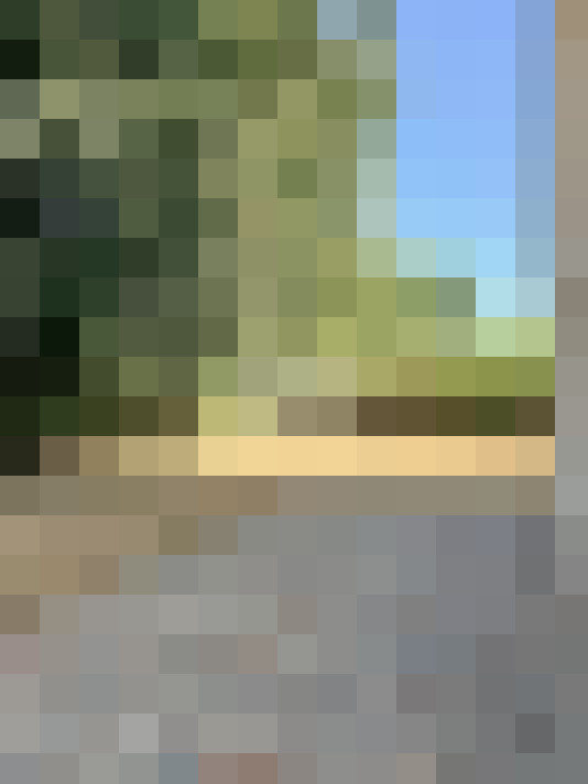  / #13
