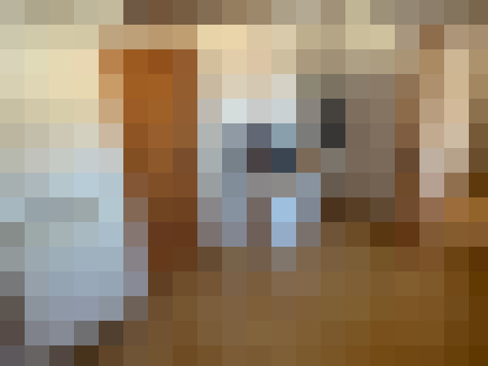  / #15