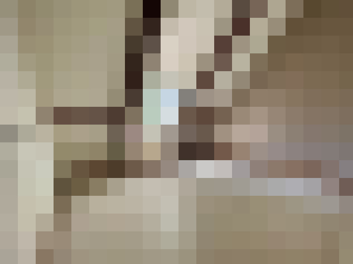  / #6