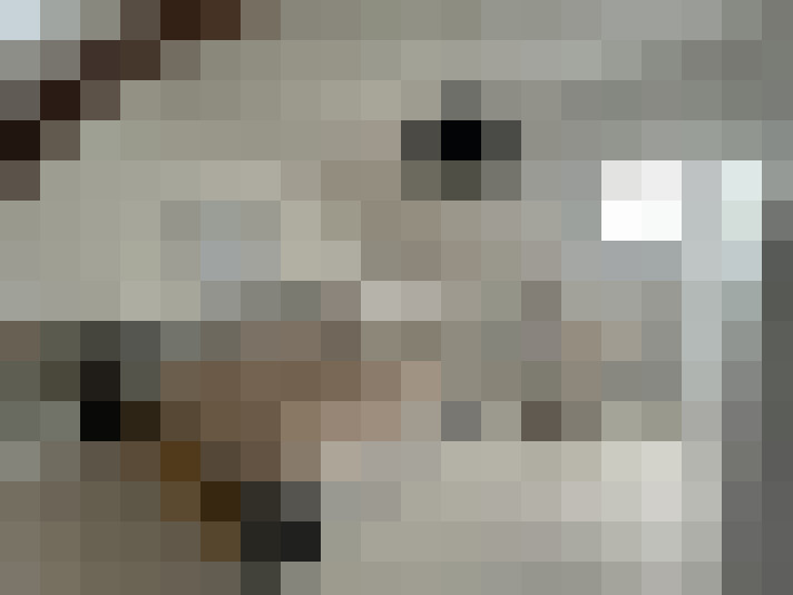  / #14