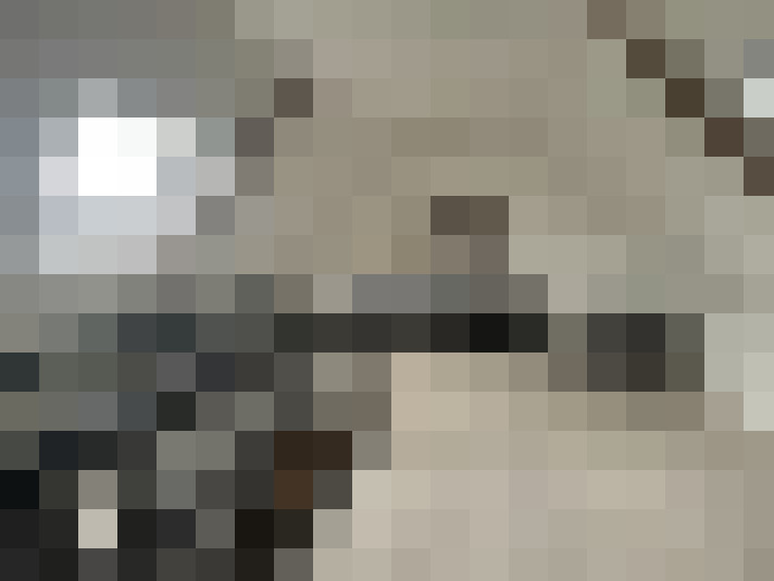  / #13