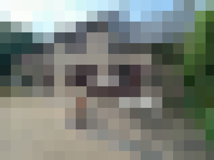  / #17