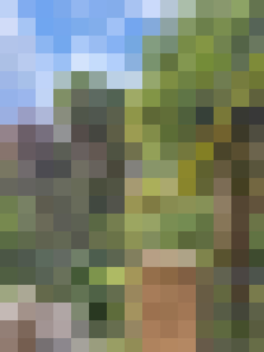  / #15