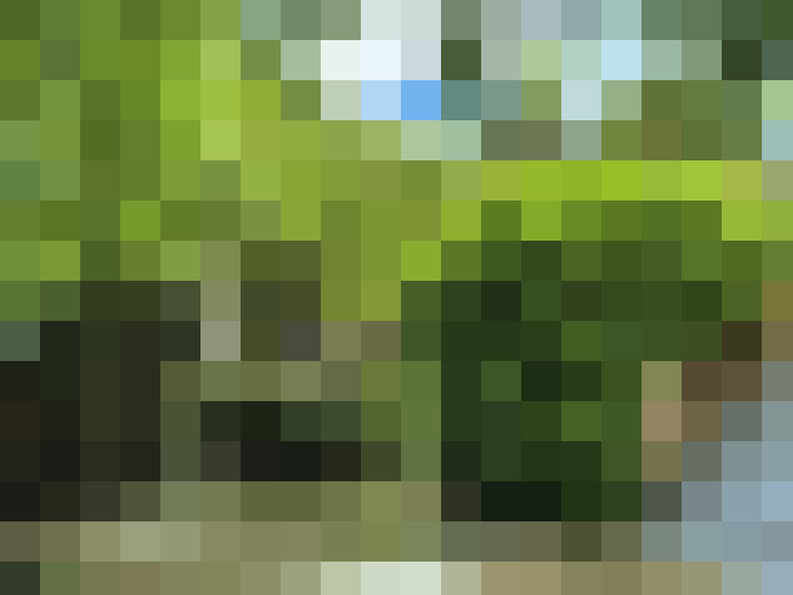  / #14