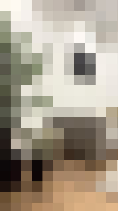 / #13