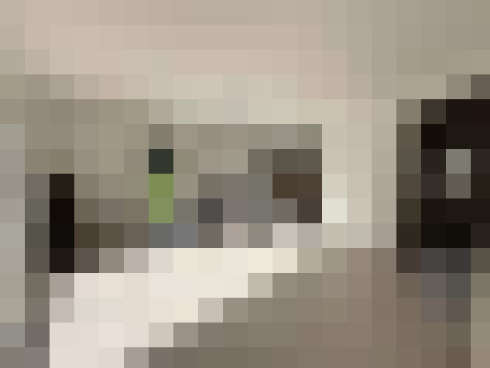  / #12