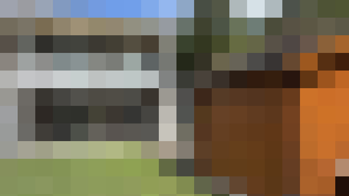 / #15