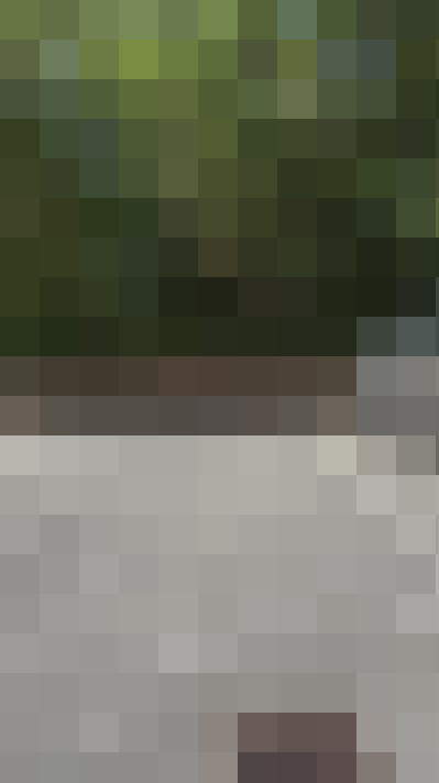  / #20
