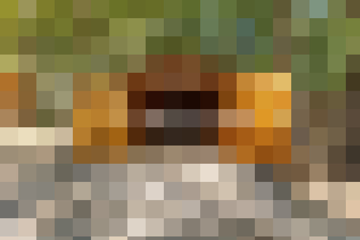  / #18