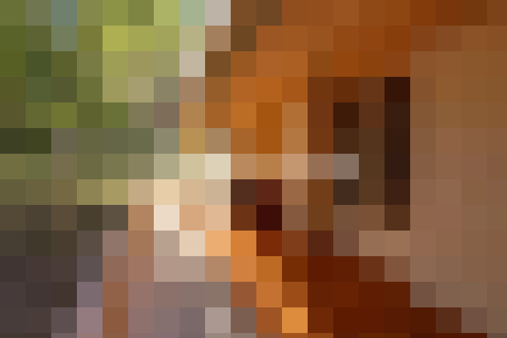  / #15